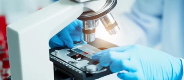 Are Blood Samples Reliable for Diagnosis of Female Sexual Dysfunction?