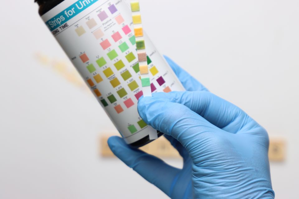 What Does It Mean When There Is Mycoplasma or Ureaplasma in a Urine Sample?